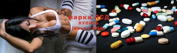 индика Белоозёрский