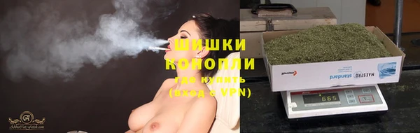 винт Белокуриха