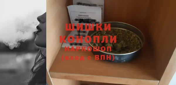 индика Белоозёрский